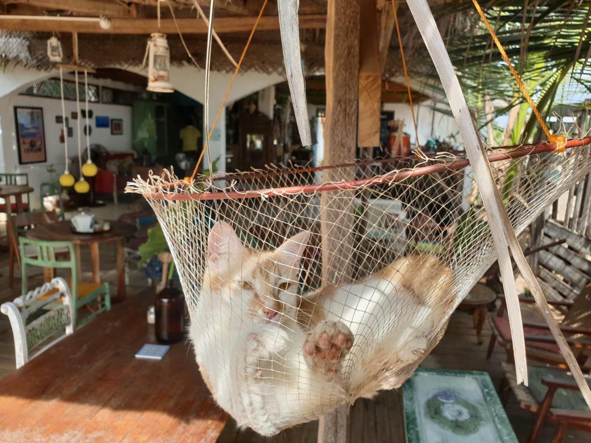 Memo'S Beach นิลาเวลี ภายนอก รูปภาพ